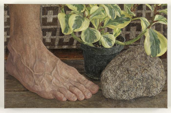 Painting of a close up of a right foot, a pot in a plant, and a rock in a triangle formation.